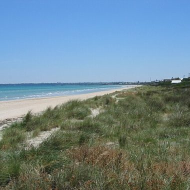 Aspendale beach 1